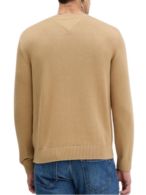 Maglioncino con grafica Tommy Jeans | DM0DM22401AEN